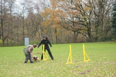 Puppy course