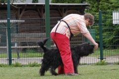 Baika und Dog Dancing