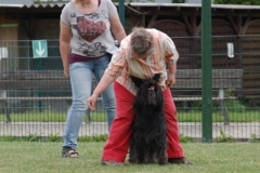 Baika and Dog Dancing
