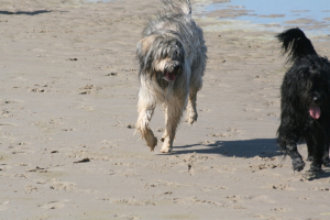 Walk on the beach