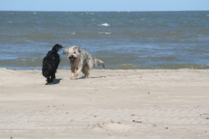 Walk on the beach