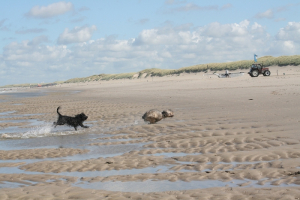 Walk on the beach