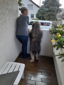 Dali 2022