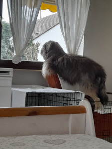 Dali 2023