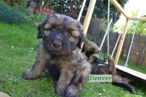 Denver_7Wochen