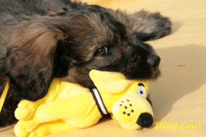 the first eight weeks
