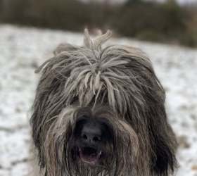 Denver_Spaziergang allein