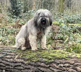 Denver__Spaziergang allein