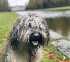 Denver__Spaziergang allein