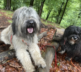 Denver_Spaziergang