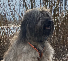 Denver_Spaziergang