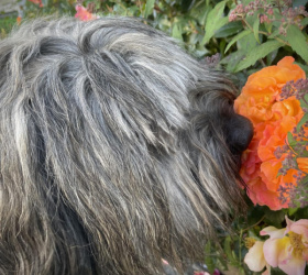 Denver_Spaziergang