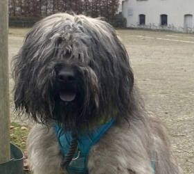 Denver_Spaziergang