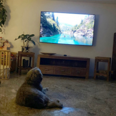 Diego und Fernsehen