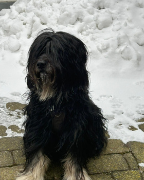 Draik 26 im Winter