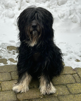 Draik 26 im Winter