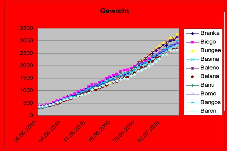 Gewicht B-Wurf