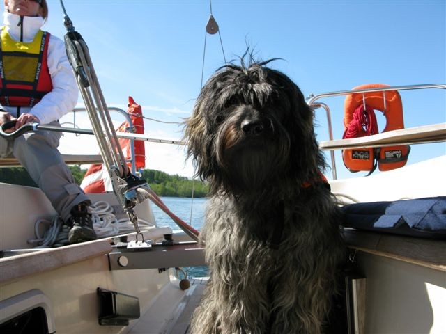 Andor 1 Jahr beim Segeln