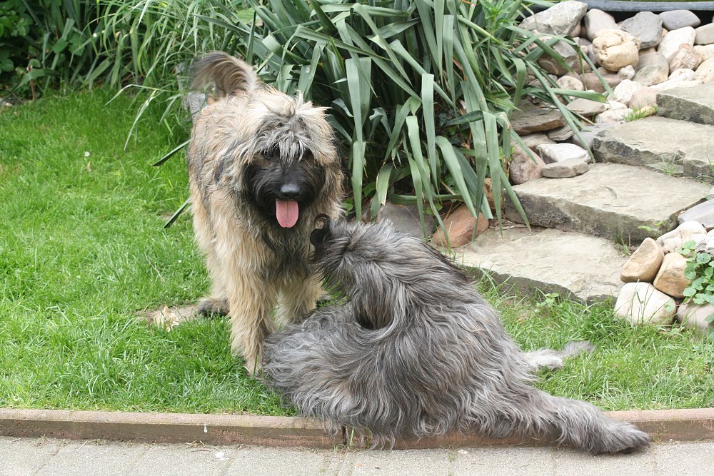 Ringo mit seiner Schwester Aurelia