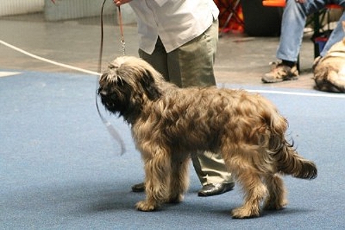 Ares at a exhibition