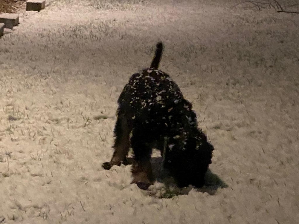 Charal's first snow