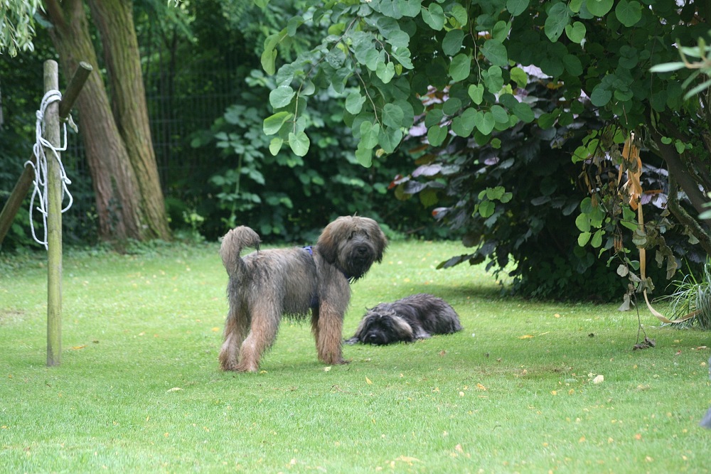 Chiwano and Chanta playing