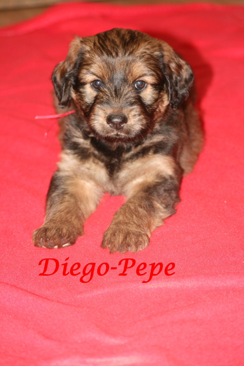 Diego with 6 weeks