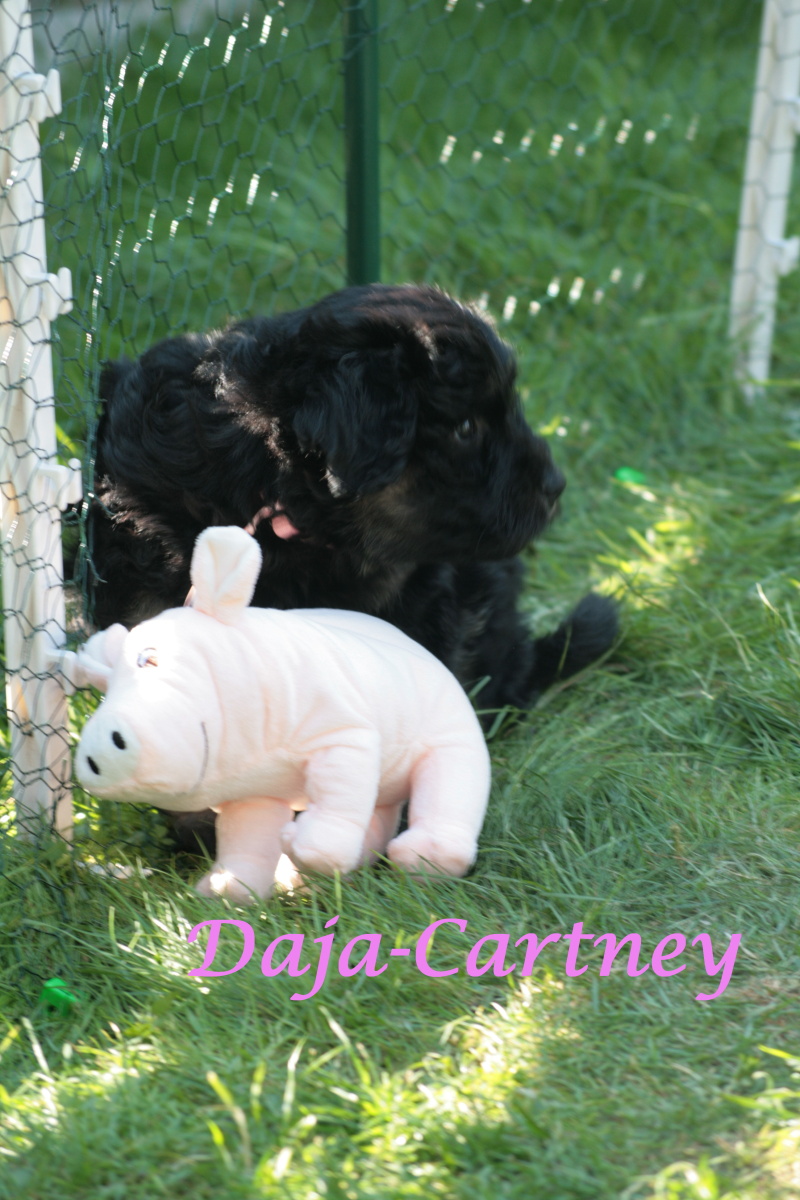 Daja-Cartney with 7 weeks