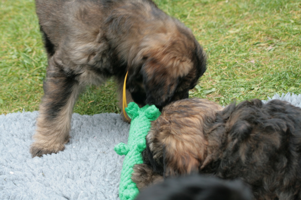 Loui und ein Bruder