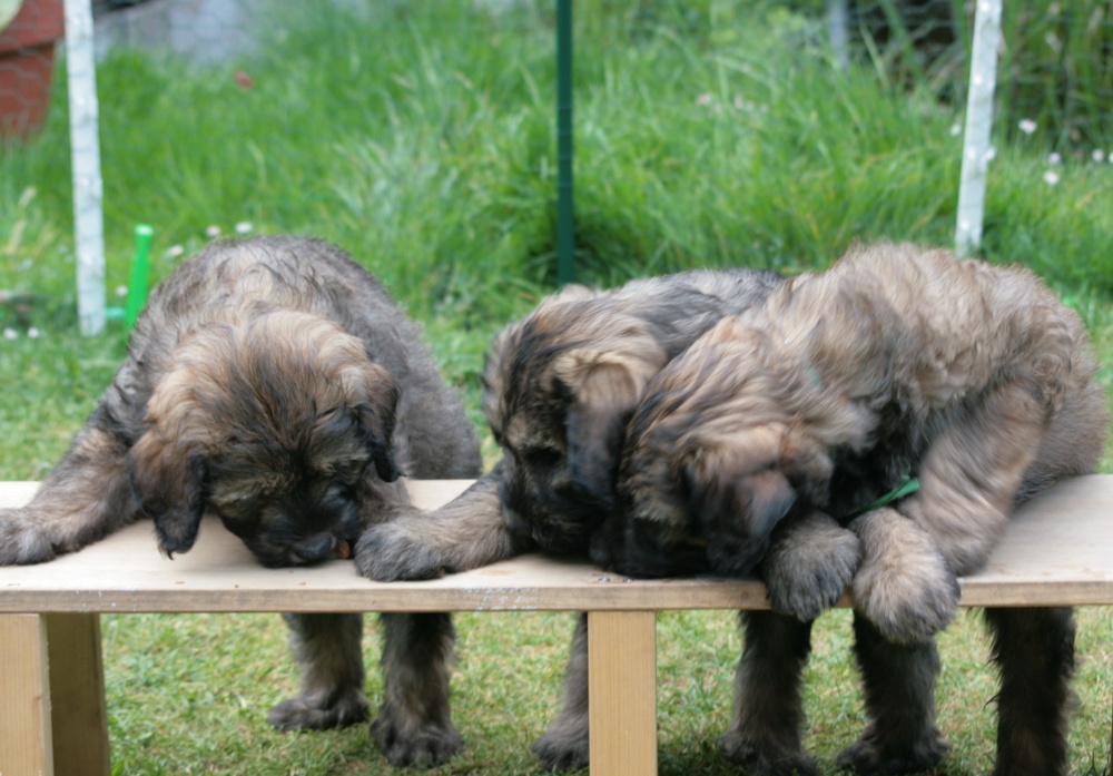 three boys