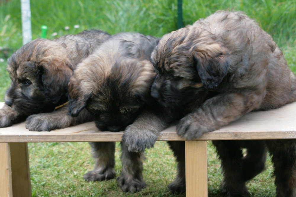 three boys