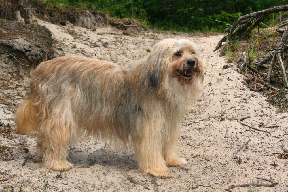 Jade 12 Jahre